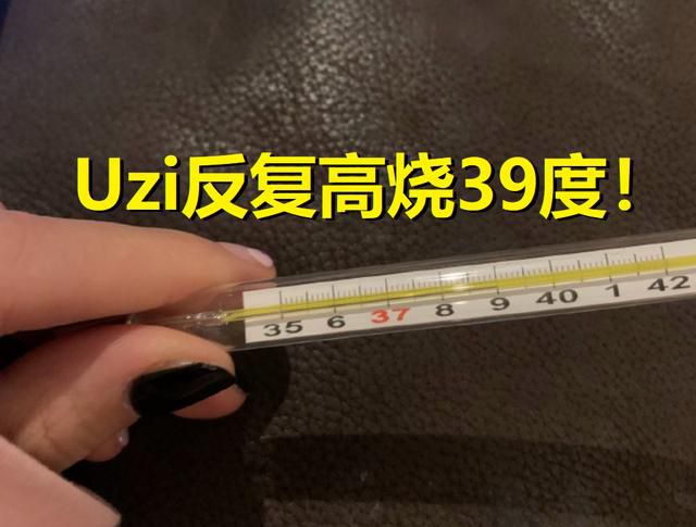 uzi病情反覆高烧39度!女友紧急发通知隔离史森明,想治病别见面